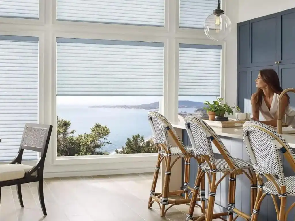 Hunter-Douglas-Powerview-Window-Treatment